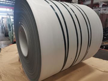 ASTM AISI 316 Ss คอยล์